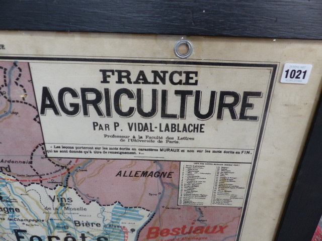 A LARGE 1940'S SCHOOL MAP OF FRANCE SHOWING AGRICULTURE BY REGION, FRAMED AND GLAZED. 116 x 98cms. - Image 2 of 4