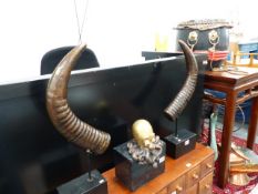 A PAIR OF BRONZED HORNS ON SLATE AND IRON BASES.