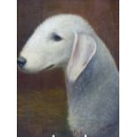 H.CROWTHERS. 20th.C.NAIVE SCHOOL. PORTRAIT OF A BEDLINGTON, SIGNED AND DATED 1932, UNFRAMED OIL ON C