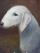 H.CROWTHERS. 20th.C.NAIVE SCHOOL. PORTRAIT OF A BEDLINGTON, SIGNED AND DATED 1932, UNFRAMED OIL ON C