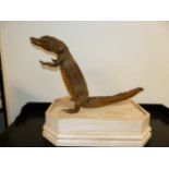 TAXIDERMY. A CROCODILE IN ANTHROPOMORPHIC POSE ON A PAINTED PLINTH BASE.