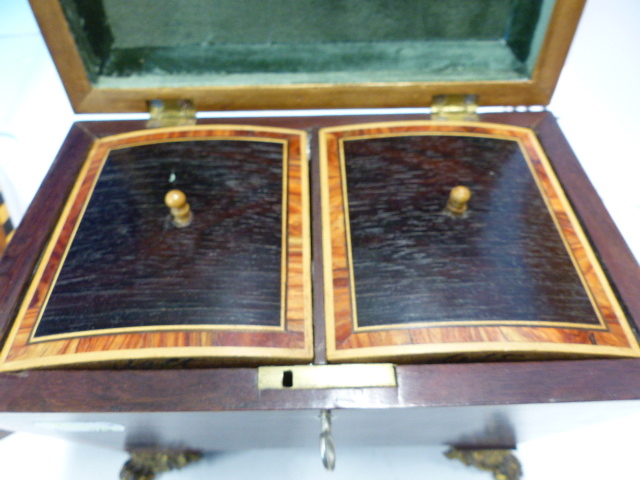 A ROSEWOOD TWO COMPARTMENT SARCOPHAGUS TEA CADDY WITH GILT METAL LION MASK AND RING HANDLES ABOVE - Image 6 of 10
