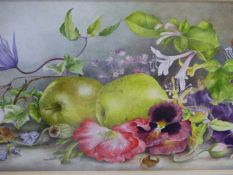 FILIPPA WHITFORD. 20th/21st.C. ARR. FLORAL AND FRUIT STILL LIFE, SIGNED WATERCOLOUR. 18 x 41cms.