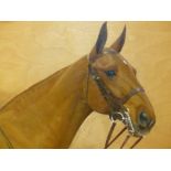 FRANCES M HOLLAMS. (1877-1963) ARR PORTRAIT OF A HORSE, YELLOW MOLLY, SIGNED AND DATED 1934 , OIL ON