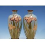 A PAIR OF JAPANESE CLOISONNE VASES, THE SKY BLUE SLENDER OVOID BODIES ENAMELLED WITH IRISES. H