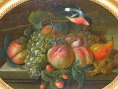 OLD MASTER SCHOOL. A PAIR OF OVAL STILL LIFES OF FRUIT WITH EXOTIC BIRDS, OIL ON PANEL IN CONFORMING