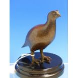GEOFFREY DASHWOOD (BORN 1947), A BRONZE MODEL OF A GROUSE, A SIGNED LABEL UNDER THE WOOD STAND DATED