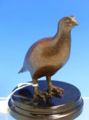 GEOFFREY DASHWOOD (BORN 1947), A BRONZE MODEL OF A GROUSE, A SIGNED LABEL UNDER THE WOOD STAND DATED