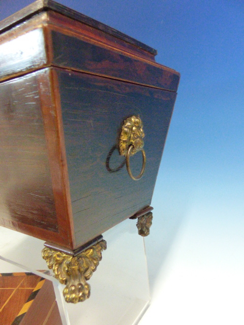 A ROSEWOOD TWO COMPARTMENT SARCOPHAGUS TEA CADDY WITH GILT METAL LION MASK AND RING HANDLES ABOVE - Image 4 of 10