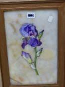 A GILT FRAMED MARBLE PANEL INSET WITH AN IRIS PAINTED IN ENAMELS. H 41 x 29cms.