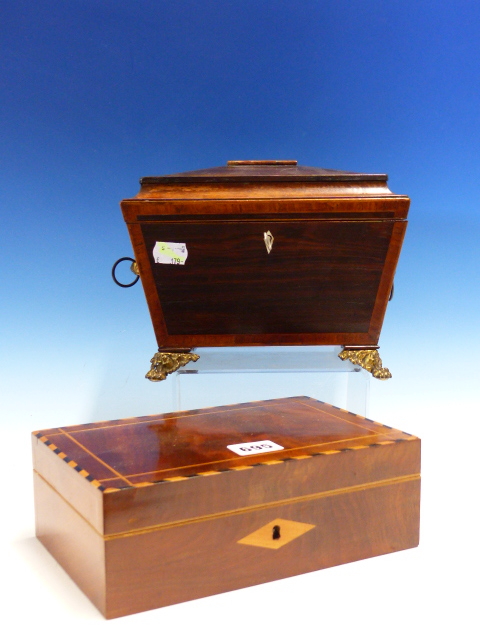 A ROSEWOOD TWO COMPARTMENT SARCOPHAGUS TEA CADDY WITH GILT METAL LION MASK AND RING HANDLES ABOVE