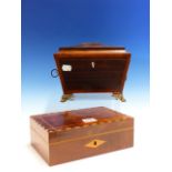 A ROSEWOOD TWO COMPARTMENT SARCOPHAGUS TEA CADDY WITH GILT METAL LION MASK AND RING HANDLES ABOVE