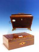 A ROSEWOOD TWO COMPARTMENT SARCOPHAGUS TEA CADDY WITH GILT METAL LION MASK AND RING HANDLES ABOVE