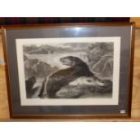 AFTER SIR EDWIN LANDSEER, A VINTAGE FOLIO PRINT, OTTERS ON A RIVER BANK. 52 x 77cms.