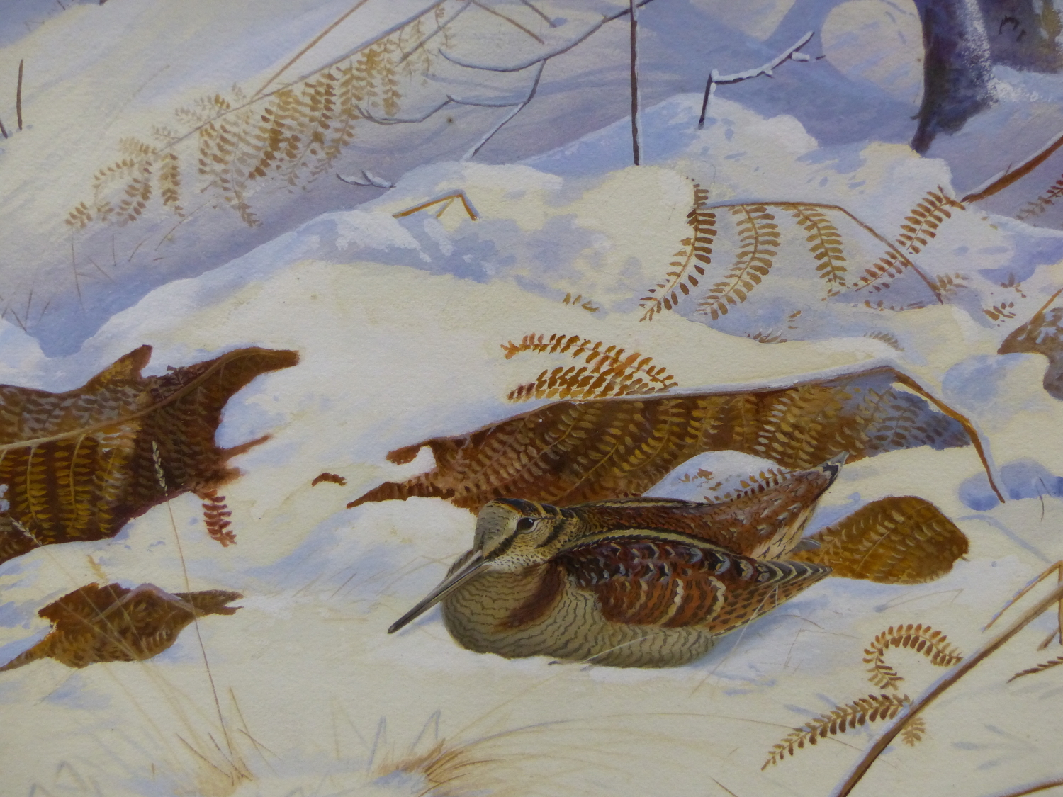 PHILIP RICKMAN. (1891-1982) ARR. WOODCOCKS IN SNOW, SIGNED AND DATED WATERCOLOUR WITH GALLERY