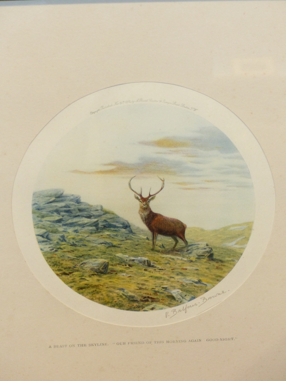 AFTER V.BALFOUR-BROWNIE. (1880-1963) SEVEN COLOUR PRINTS OF DEER IN THE HIGHLANDS, EACH PENCIL - Image 5 of 8