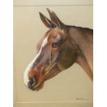 ENGLISH 20th.C.SCHOOL. PORTRAIT OF A HORSE, KELDSYKE, INITIALLED P.B. POSSIBLY PETER BIEGEL, PASTEL.