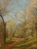 FELICITY SUTTON. (1922-2007) ARR. A WOODLAND VIEW, SIGNED OIL ON BOARD. 55 x 37cms.