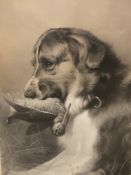 A PAIR OF VICTORIAN FOLIO PRINTS OF GUN DOGS. 84 x 62cms. (2)