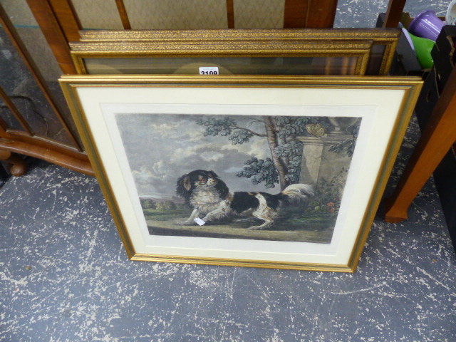 A PAIR OF PRINTS AND ANOTHER OF A KING CHARLES SPANIEL.