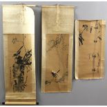 Three Chinese watercolor paintings and scrolls, 18th-19th century, with birds design, signed Dong