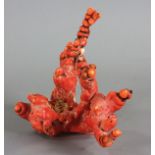 Old red coral branch, 6" x 8 3/4".