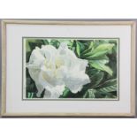 Scott Bades, floral watercolor, signed in pencil and dated 1983, 28" x 20" framed.