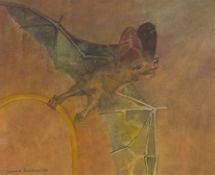 AR LEONARD ROSSOMAN, OBE, RA (1913-2012) "Study: Bat on a lamp, Meru, Kenya" watercolour, signed and