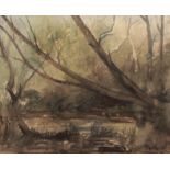 AR AGNES ALLEN (20th century) Woodland pool watercolour, signed and dated 1966 lower right 51 x