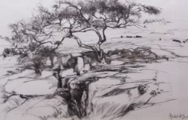 AR ELIZA ANDREWS (20th century) "Study for Summer Gryke I" charcoal and wash drawing, signed lower