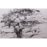 AR ELIZA ANDREWS (20th century) "Study for Summer Gryke I" charcoal and wash drawing, signed lower