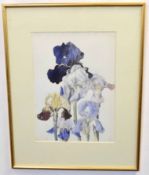 Dorothea F Maclagan, initialled and dated June 1944, watercolour, "Begonias", 36 x 26cms,
