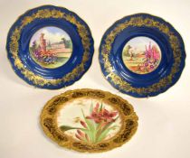 Collection of china plates including a Doulton Burslem plate decorated with irises and two Spode