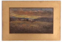 ENGLISH SCHOOL (19TH/20TH CENTURY) Sheep in a sunset landscape oil on board 13 x 22cms
