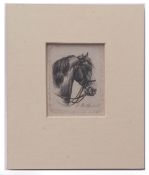 AFTER JOHANN ADAM KLEIN Animal Studies group of three black and white engravings assorted sizes,