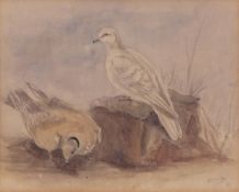 THE HON ROSE HUBBARD (19TH CENTURY) "Doves" watercolour, signed with pseudonym "Henwife" and dated