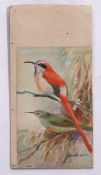 AR ROLAND GREEN (1896-1972) "Sunbird" watercolour, signed lower right 18 x 12cms unframed