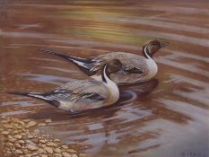 AR ERIC MEADE KING (1911-1987) Pintails watercolour, signed lower right 36 x 47cms