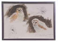 AR BRUCE EDWARD PEARSON (born 1950) "Young Barn Owls" pencil and watercolour, signed and dated