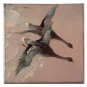 ATTRIBUTED TO VERNON WARD (1905-1985) Geese in flight oil on canvas 31 x 31cms, unframed