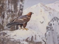 COLIN W BURNS (born 1944) "Golden Eagle - Cairngorms" watercolour, signed lower left 15 x 20cms