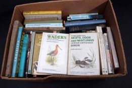 BOX: Ornithology