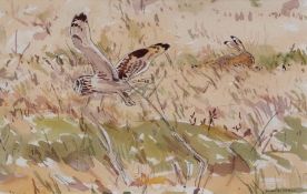 AR JAMES McCALLUM (born 1970) Barn Owl and Hare watercolour, signed lower right dated 30/04/01 lower