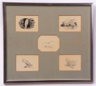 AR JOHN BUSBY, SWLA (born 1929) Owl studies five pen and ink sketches in one frame each image approx