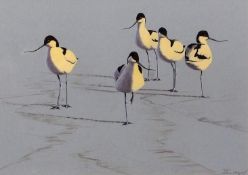 AR JULIAN NOVOROL (born 1949) Avocets watercolour, signed and dated 2006 lower right 35 x 49cms