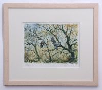 AR STEVE CALE (CONTEMPORARY) Sparrowhawk chasing another bird in woodland coloured print, signed and