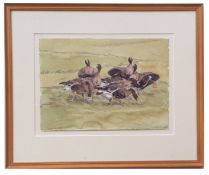 AR JAMES McCALLUM (born 1970) A gaggle of Geese watercoloursigned lower left, dated 21 Feb 98