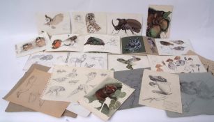 ALISTAIR HARDY (MID-20TH CENTURY) Bird and Natural History sketches collection of three sketch books