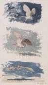 AR JOHN BUSBY, SWLA (born 1929) "Flight of the Barn Owl" watercolour, signed and dated 89 lower