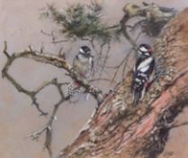 AR GEORGE EDWARD LODGE (1860-1954) Lesser Spotted Woodpeckers watercolour, signed lower right 22 x